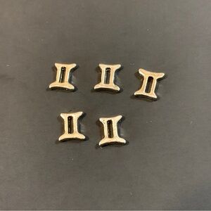 Floating locket charms - Gemini ♊️ charm